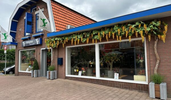 Specialist in kunstbloemen, kunstplanten en kunstbomen